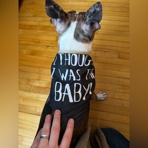 Dog Bandana “I thought I was the baby”